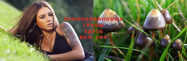 2c-b Зеленокумск