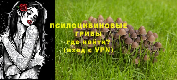 Альфа ПВП Иннополис