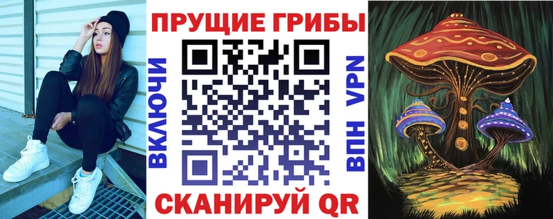 Галлюциногенные грибы Psilocybe  Купить закладки  Сергач 
